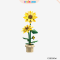 {$item->name}